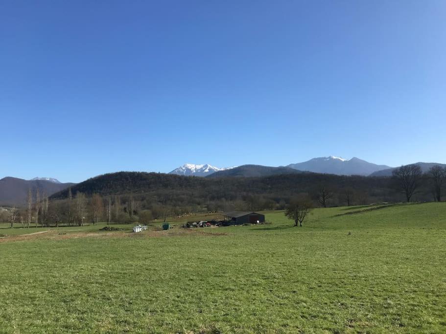 Au Coeur De Loo Villa Sauveterre-de-Comminges Exteriör bild